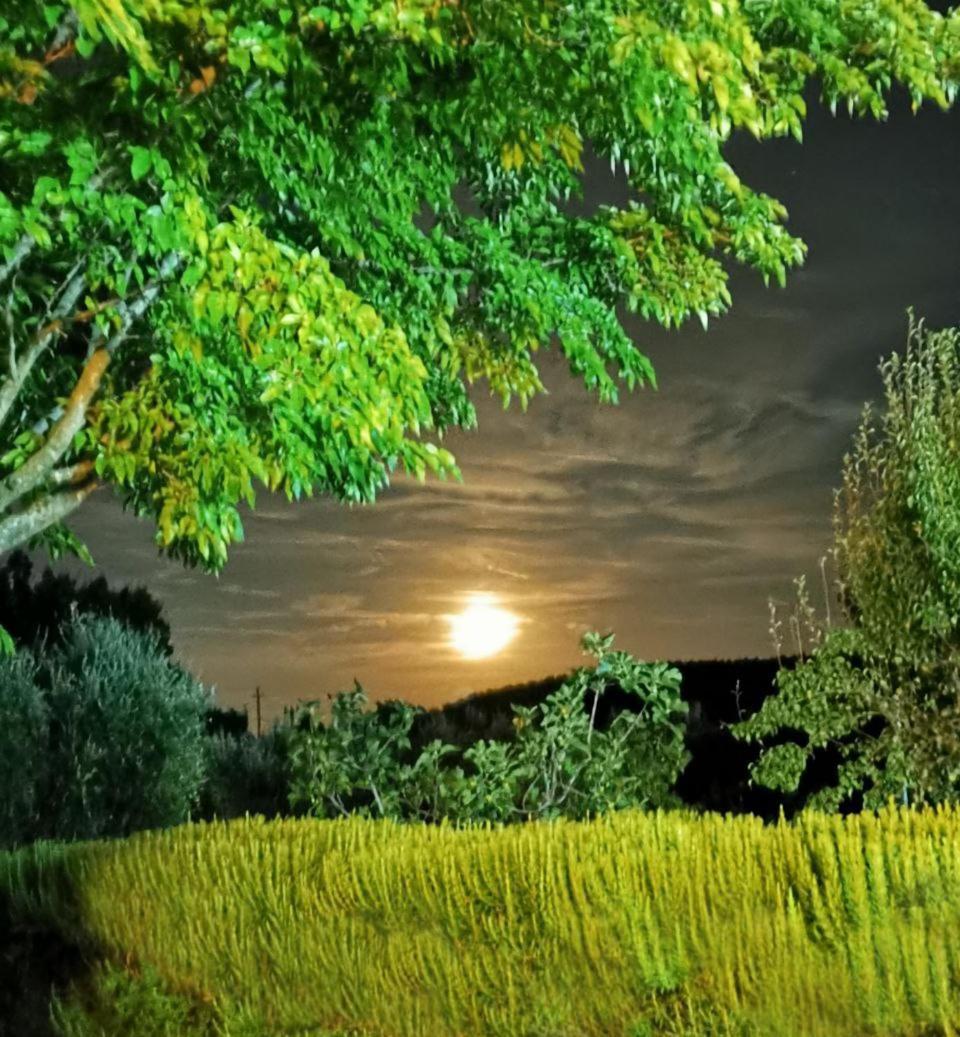 Casa Tonino Villa Pisticci Kültér fotó