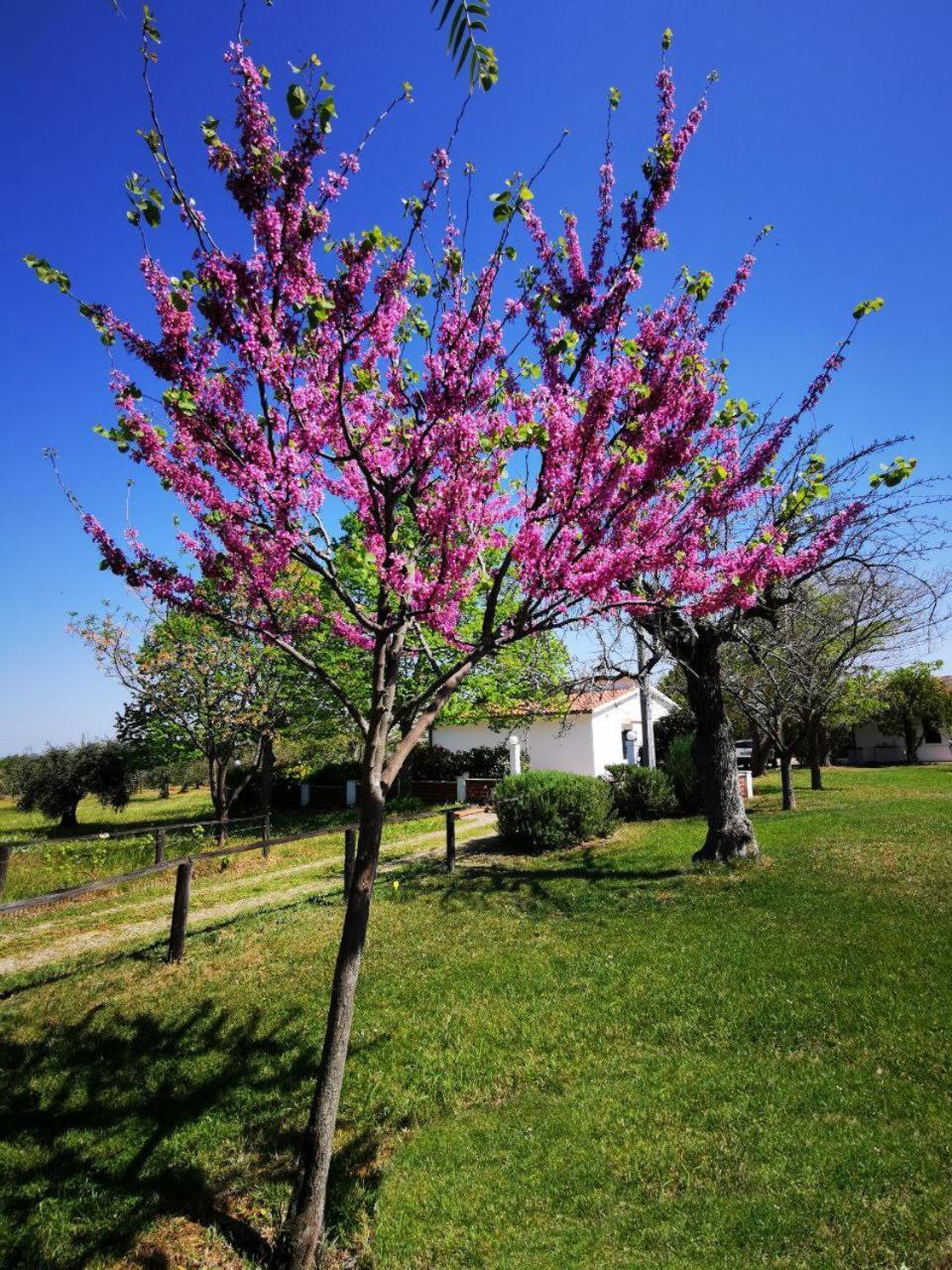 Casa Tonino Villa Pisticci Kültér fotó